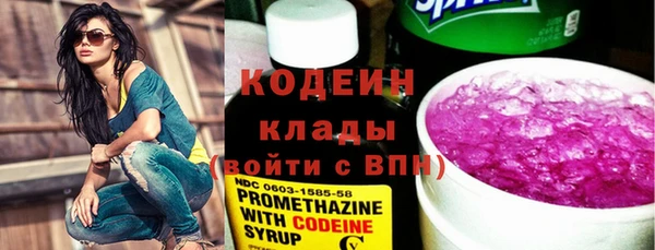 прущие грибы Новозыбков