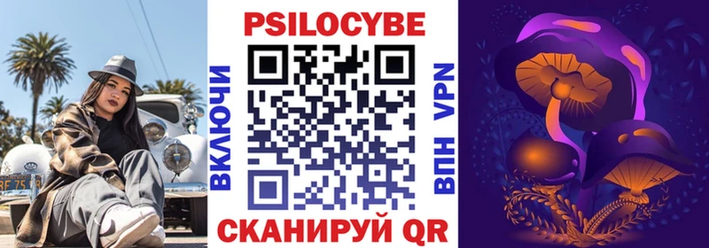 Галлюциногенные грибы Psilocybe  OMG зеркало  Няндома 